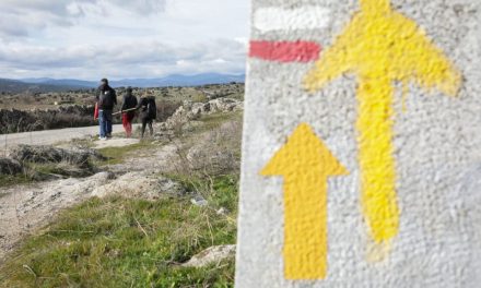 NP: Microsoft y Fundación ONCE colaboran para hacer accesible el Camino de Santiago