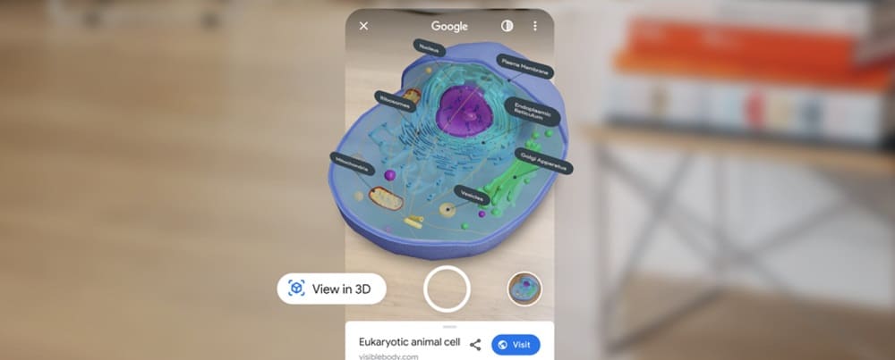 Aprender desde casa de forma divertida con el 3D y la realidad aumentada en las búsquedas