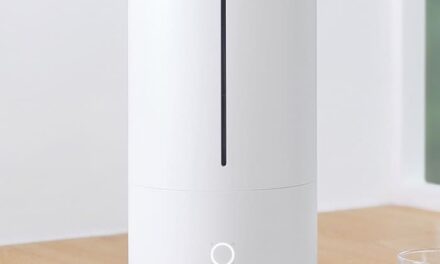 Xiaomi lanza en España Mi Smart Antibacterial Humidifier y Mi Smart Space Heater S