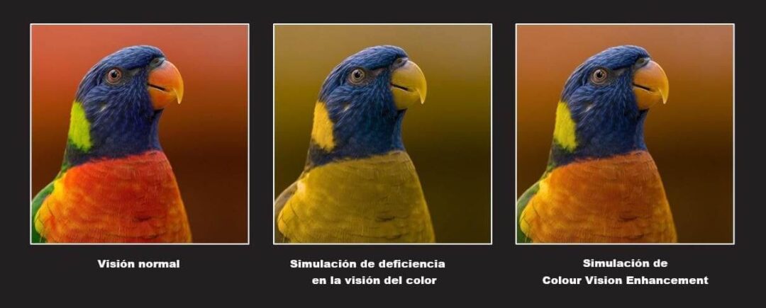 Una pantalla para todos: Colour Vision Enhancement de OPPO se adapta a ...