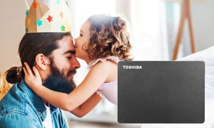 Toshiba, un disco duro para cada padre