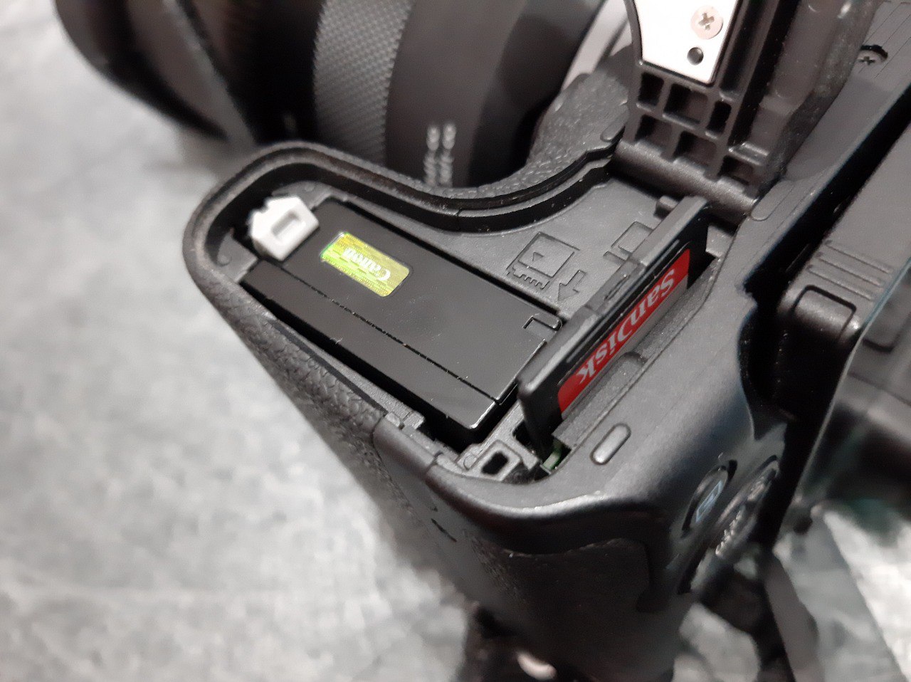 Analizamos la cámara Canon EOS R10 junto a un objetivo MACRO y un objetivo x10