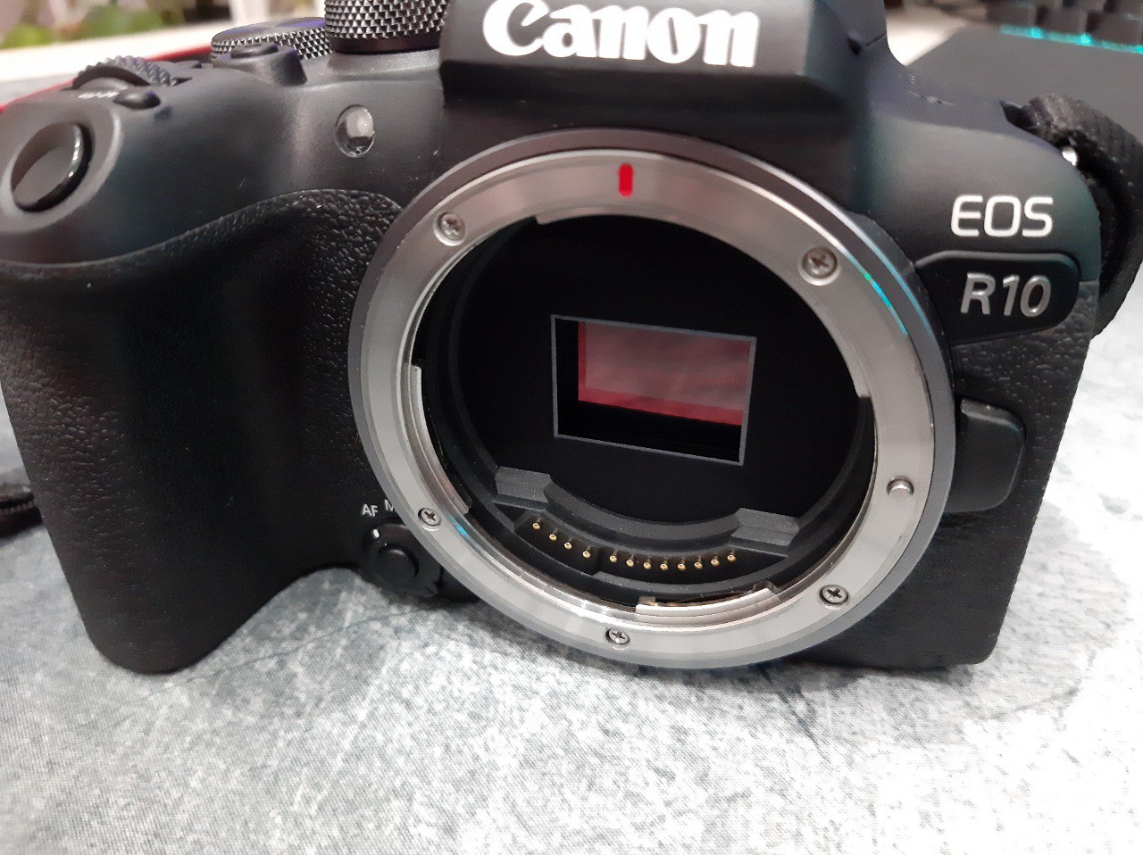 Analizamos la cámara Canon EOS R10 junto a un objetivo MACRO y un objetivo x10