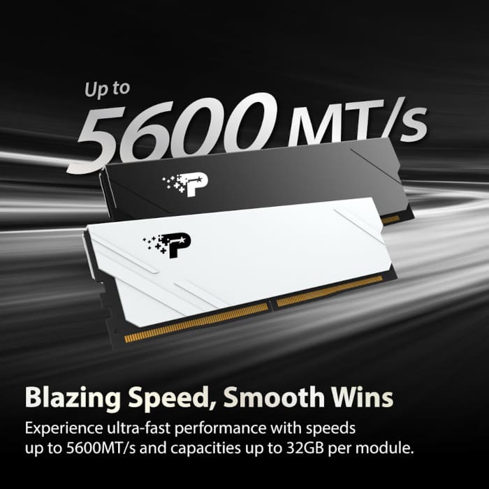 Patriot Memory sube la apuesta del DDR5: nuevos módulos Signature Line Premium, Premium CKD y Core SODIMM hasta 6400 MT/s