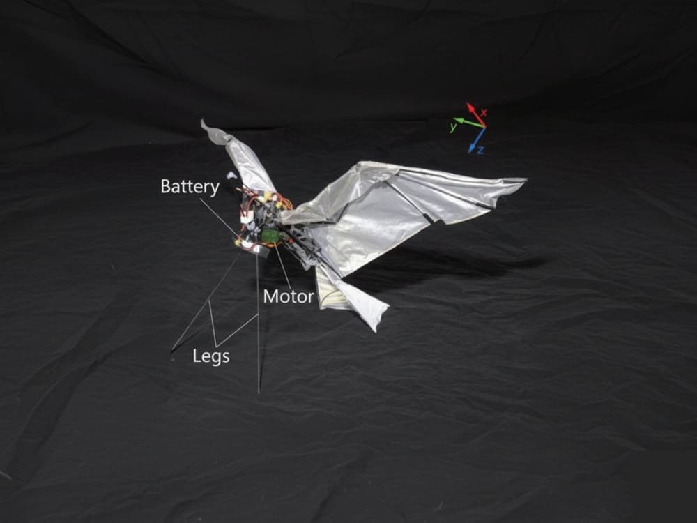 RoboFalcon2.0: el primer robot del tamaño de un ave capaz de despegar por sí mismo