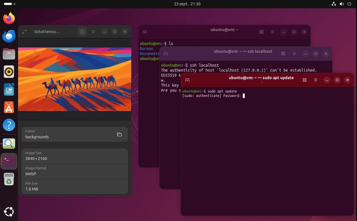 Ubuntu 25.10 “Questing Quokka”: Canonical prepara el terreno para la próxima LTS de 2026