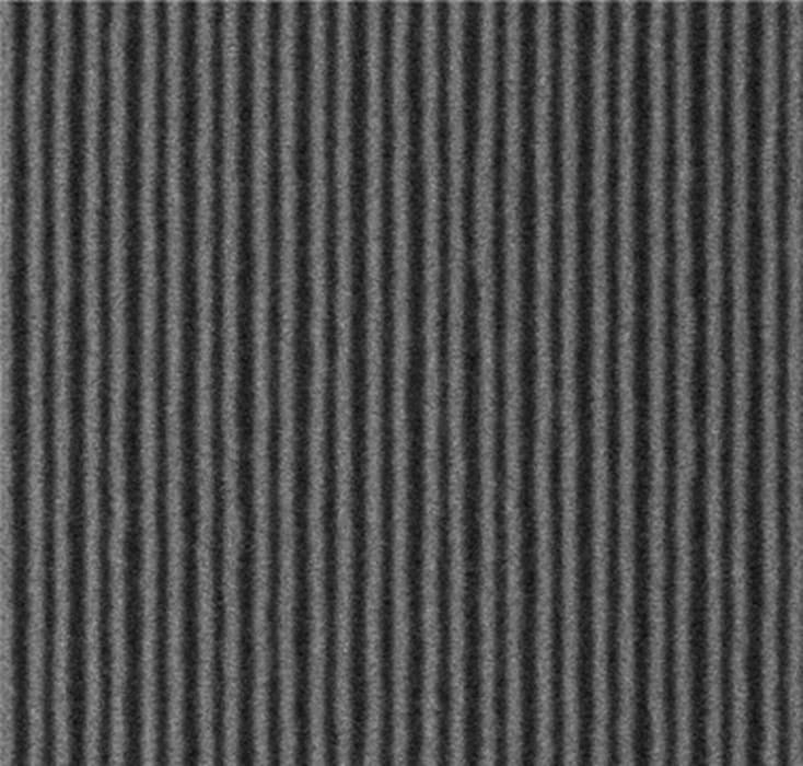 DNP presenta un molde de litografía NIL con líneas de 10 nm para semiconductores de 1,4 nm