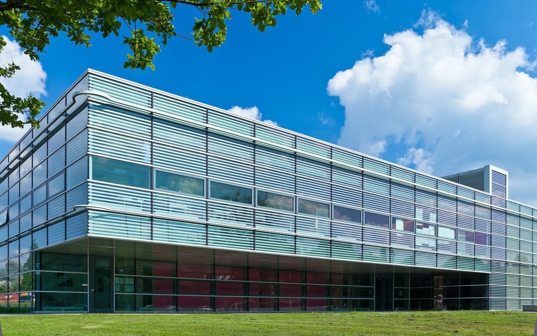 HammerHAI portada (1)