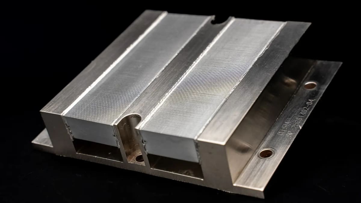 noctua portada