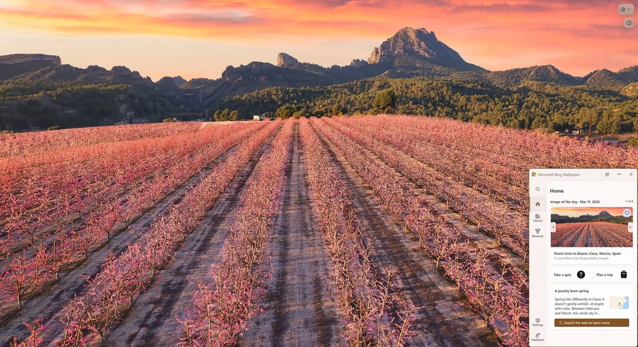 Bing Wallpaper abre Bing al hacer clic en el escritorio sin mostrar cómo desactivarlo